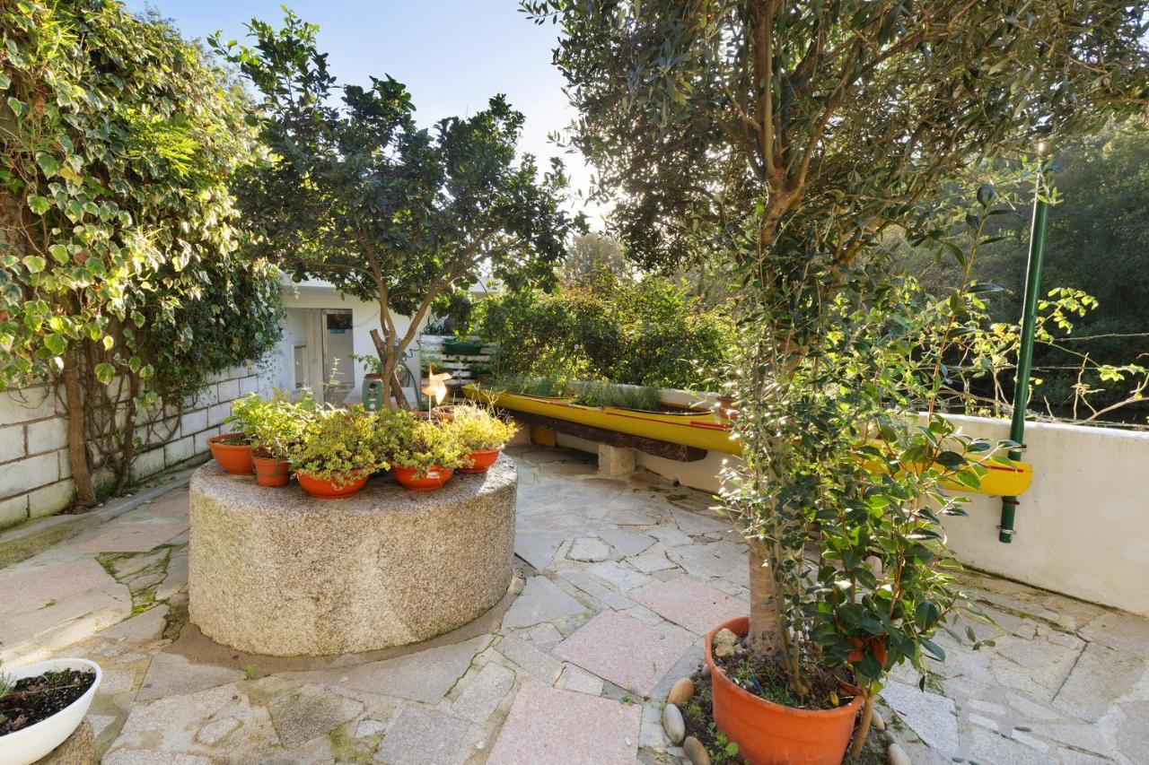 Casa Azenha Branca Βίλα Εσποσέντε Εξωτερικό φωτογραφία